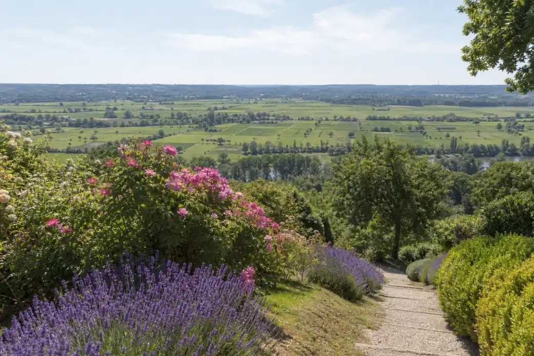 Jardin en terrasse sur un coteau de Saint-Sever dominant la vallée de l'Adour, massifs de lavande et rosiers, allée en pente, vue panoramique.